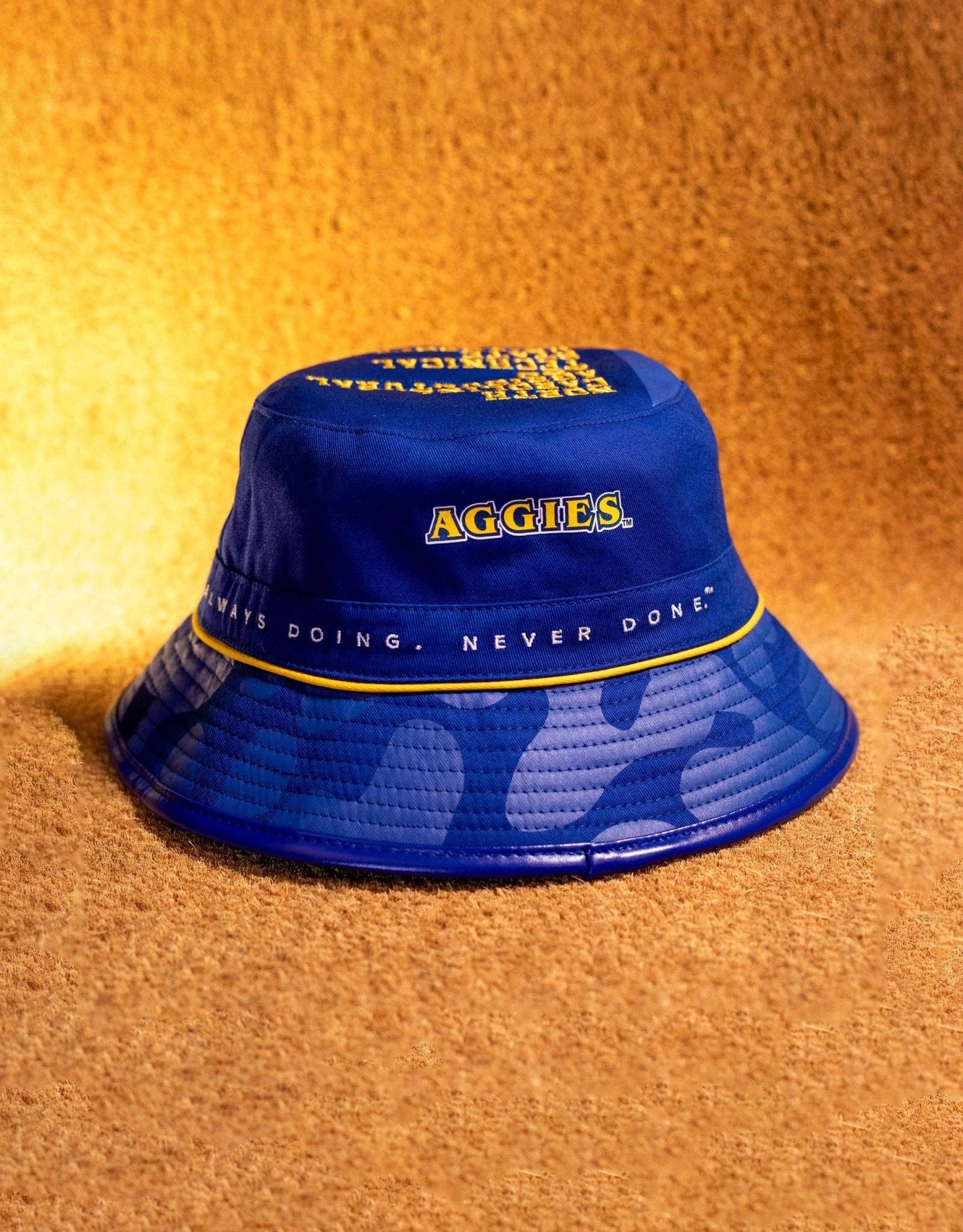AP Reversible Bucket - North Carolina Agricultural & Technical (NCA&T) - The Yard