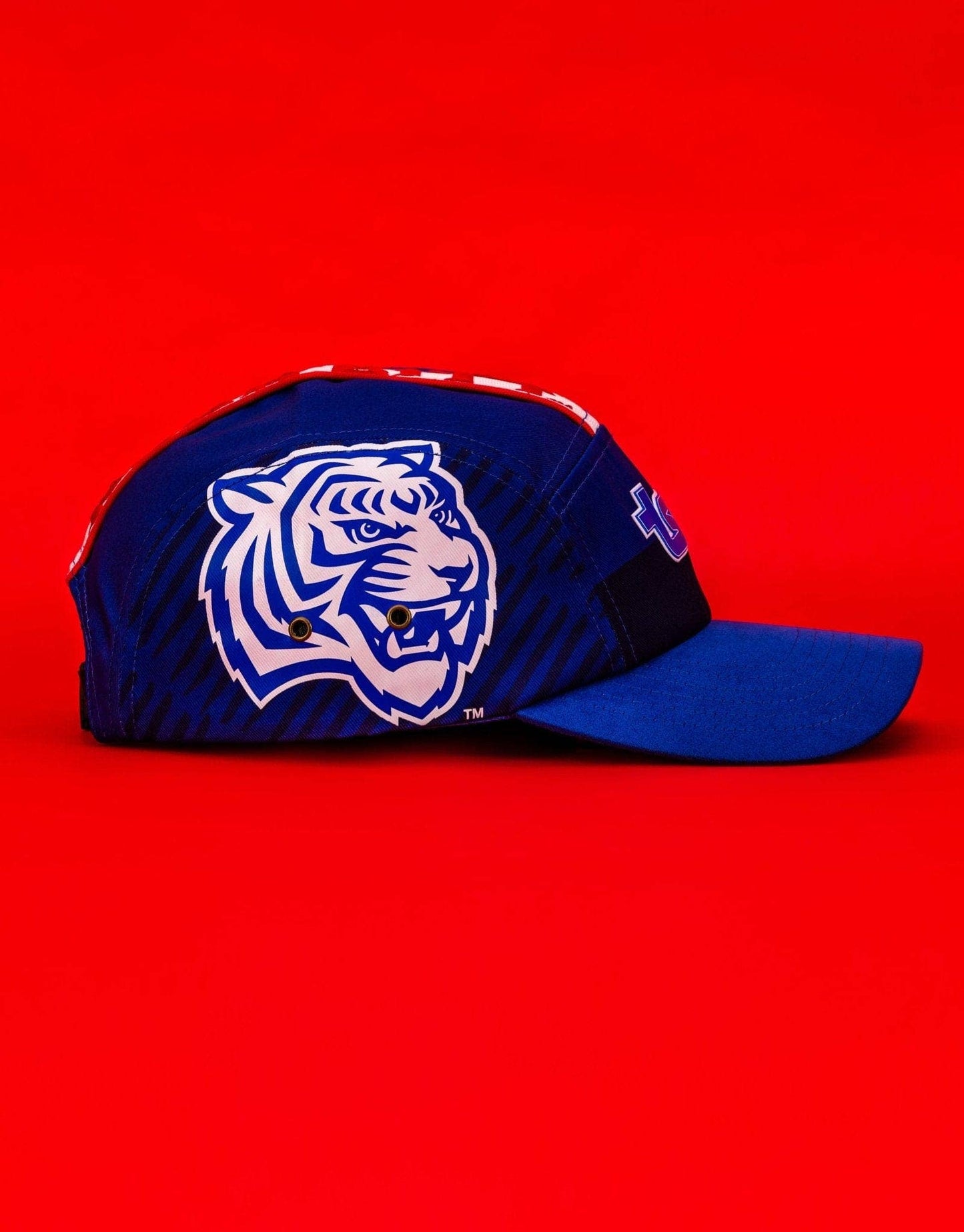 Tennessee State University