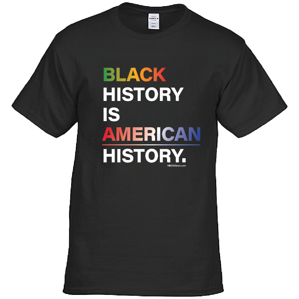 Black History is American History T-Shirt