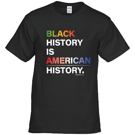 Black History is American History T-Shirt