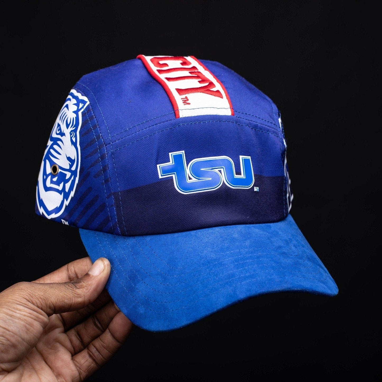 Tennessee State University